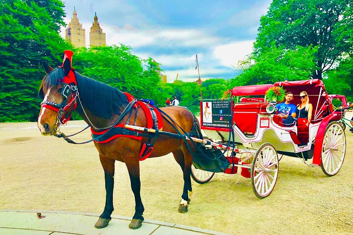 VIP Special Occasion Horse Carriage Ride In Central Park With Champagne (50 Min) - thumb 5