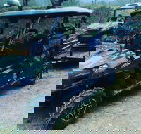 Premier Powersport Dealer Sales Service  UTV Rentals - Accommodation Deal