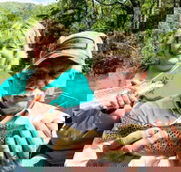 Full Day Float Trip - Accommodation Deal