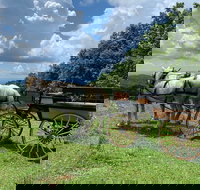 Horse and Carriage Ride through Moses H. Cone Park - Accommodation Deal