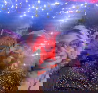 Private Pedicab Karaoke Cruising in Downtown Raleigh - Accommodation Deal