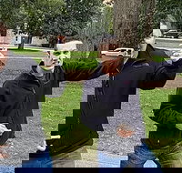 Fun City Scavenger Hunt in Madison by Wacky Walks - Accommodation Deal