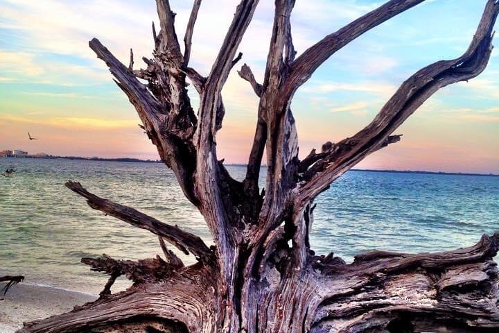 VIP Private Historic And Nature Tour Of Fort Myers - thumb 1