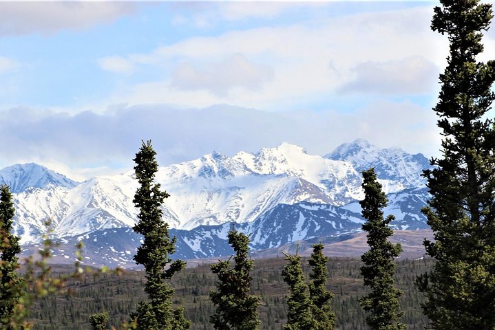 Fairbanks To Delta Junction: Beauty Of The North Tour - thumb 0